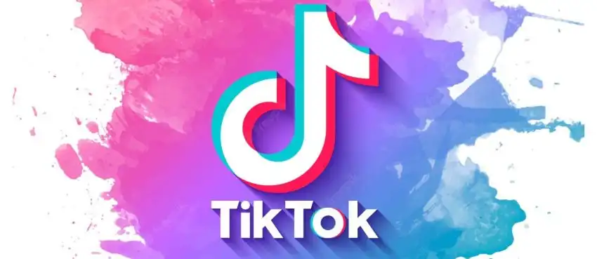 tiktok'ta en çok izlenen video 2023 2 Most Viewed TikTok Videos of All Time 850x369 1